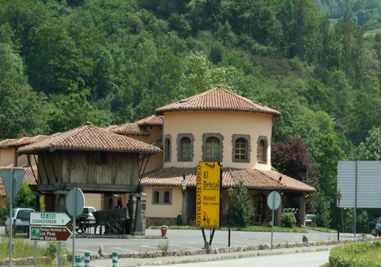 Hotel El Bricial Soto De Cangas Eksteriør bilde